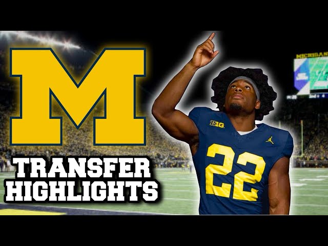 Justice Haynes Alabama Highlights | Michigan Transfer