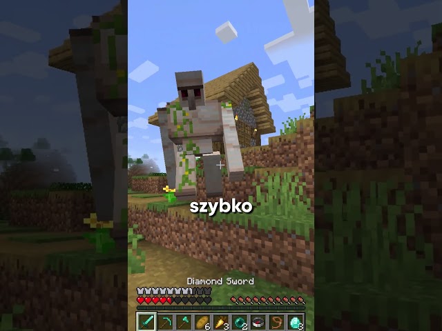 Podejrzana wioska w minecraft