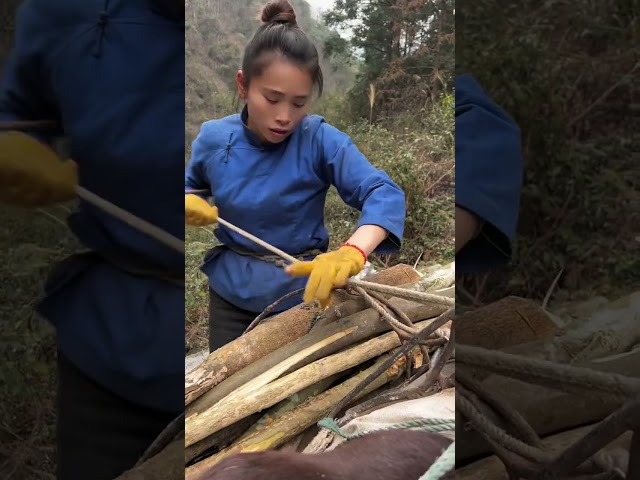 在农村，每天日出而作，日落而归，真的真的、走不动了 #大山里的原生态 #大山里的原生态 #记录我们的农村生活    003