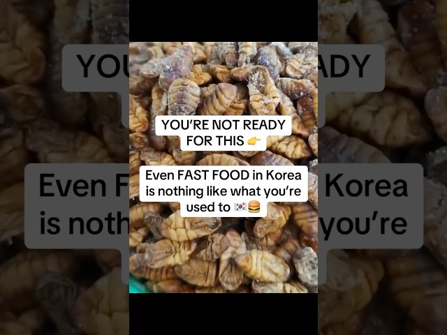 YOU’RE NOT READY FOR THIS! KOREAN STREET FOOD IS NEXT LEVEL!