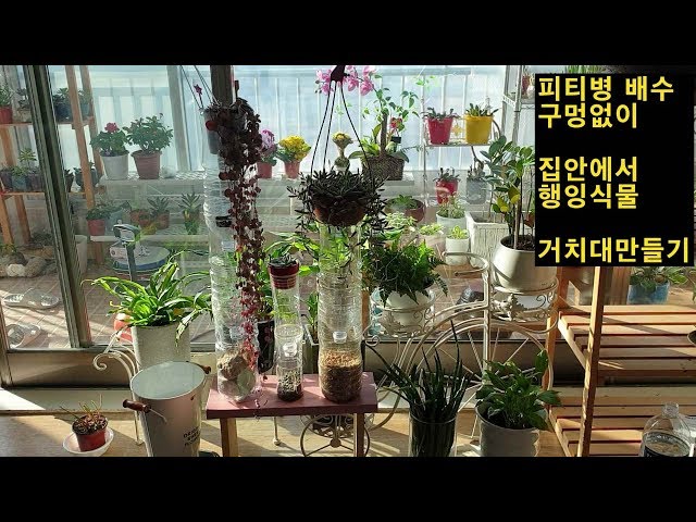 페트병화분 좁은집안에 배수구없는행잉화분만들기 bottle garden