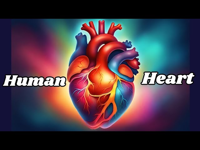 How to Take Care of Your Heart Educational Video for Kids