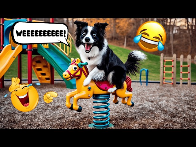 Funny Dog Compilation | Funny Moments, Adorable Antics, and Unforgettable Laughter!