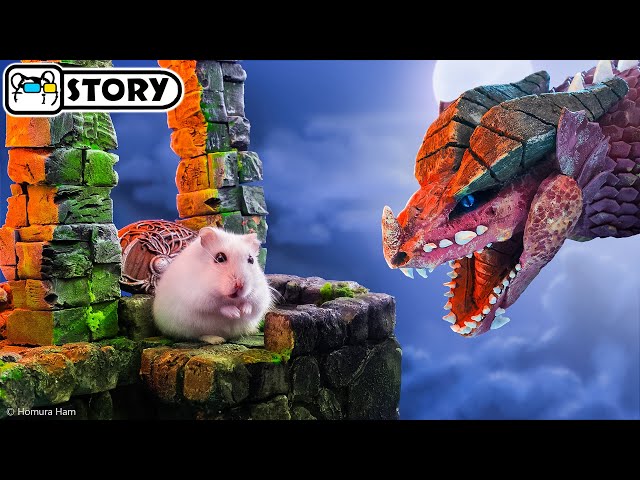 ⚔️ Hamster vs Dragon in the Dungeons & Dragons Maze ⚔️ Homura Ham Pets