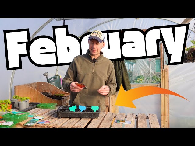 What I'm Sowing in February 2025 Vegetable Garden