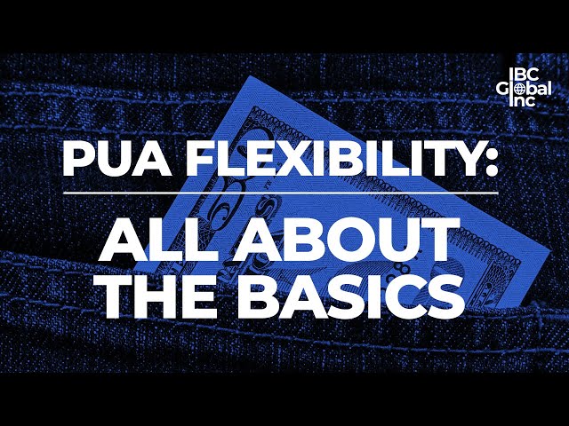 PUA Flexibility: All About The Basics | IBC Global, Inc