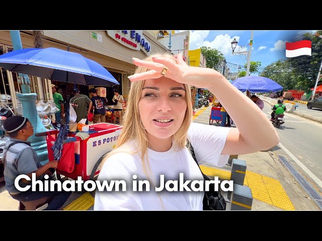 Street food in Chinatown in Glodok, Jakarta 🇮🇩