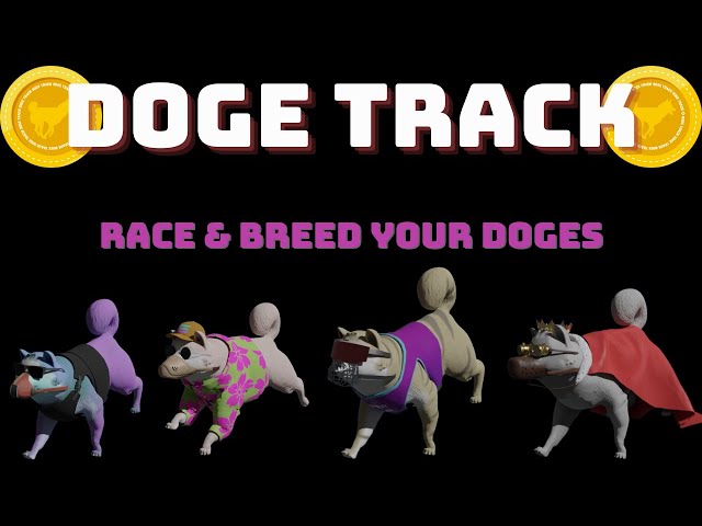 Doge Track | Mint Live | Solana Play To Earn NFT | Race and Breed