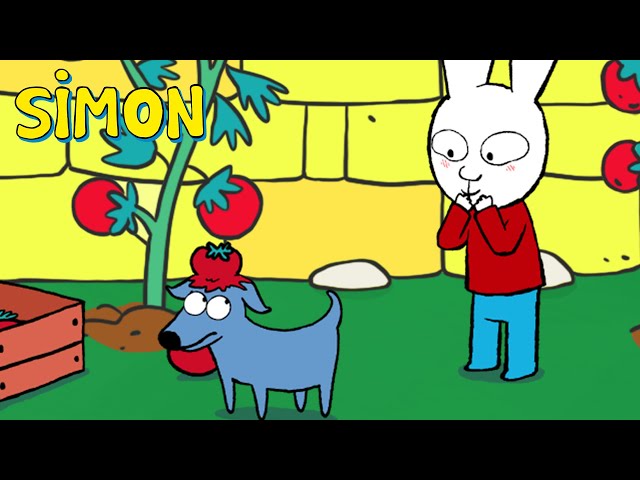 Le champion des bêtises | Simon Superlapin | Épisode Complet Saison 1 | Dessin animé pour enfants