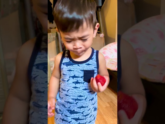 Funny Baby Boy 🍓😅 #cute #funny #strawberry #baby #babyboy #shorts #viral