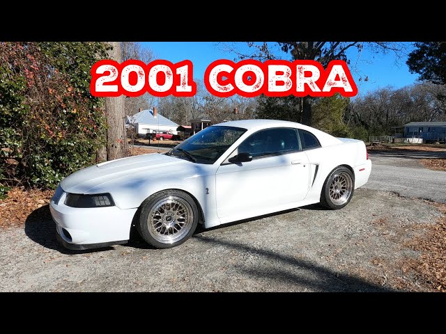 2001 MUSTANG COBRA project update ￼