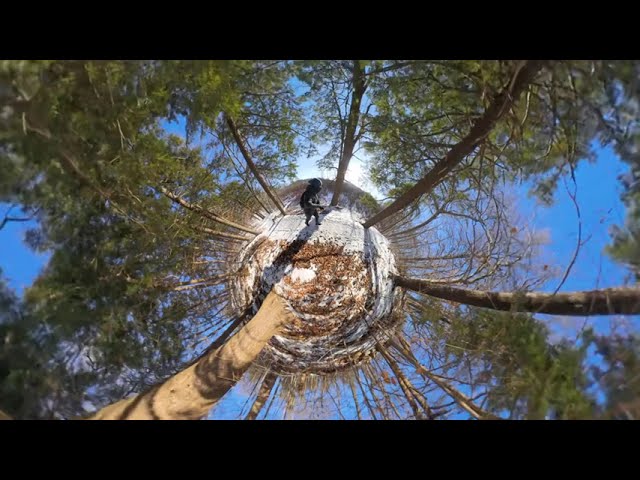 Insta360 X4 Hiking - Video Test