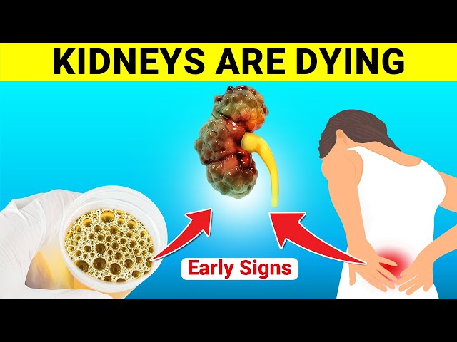 5 Early Signs of Kidney Damage You Must Not Ignore