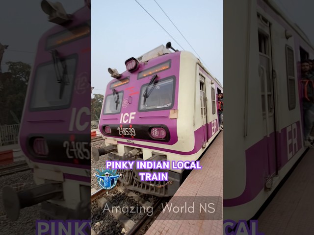 💜Pinky..! Indian Local Train💜