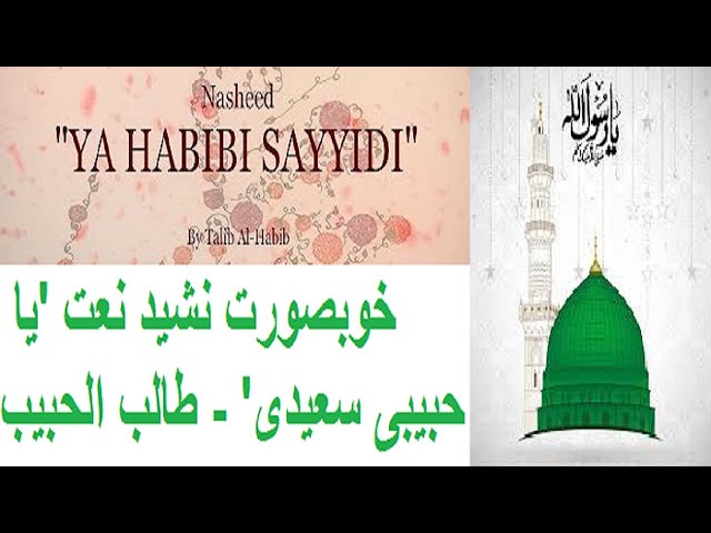 BEAUTIFUL Arabic Naat NASHEED YA HABIBI SAYYIDI By Talib Al Habib #trending #viral #yt #youtube