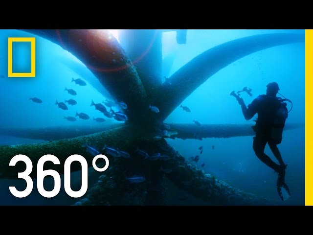 360° Dive Through an Oil Rig Ecosystem | National Geographic