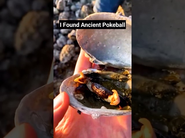 I Found An Ancient Pokeball ☺ In Pokemon Go #shorts #pokemon #pokemongo #rare #pokeball #pokémon