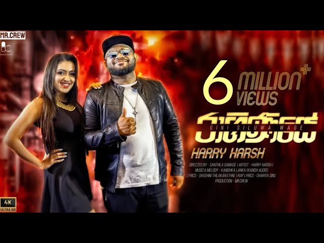 Raginiye (රාගිණියේ) |Harry Harsh| Official Music Video 2021  #ginisiluwawagepaddana #रागिनी #ராகினி