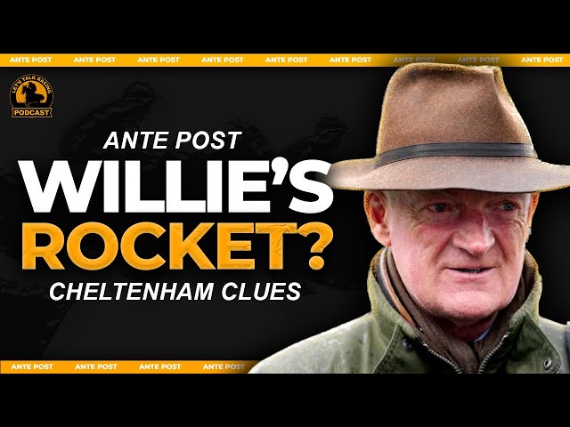 The BUMPER/NOVICE horses YOU need to know! | Willie Mullins & Gordon Elliott | Cheltenham Ante Post