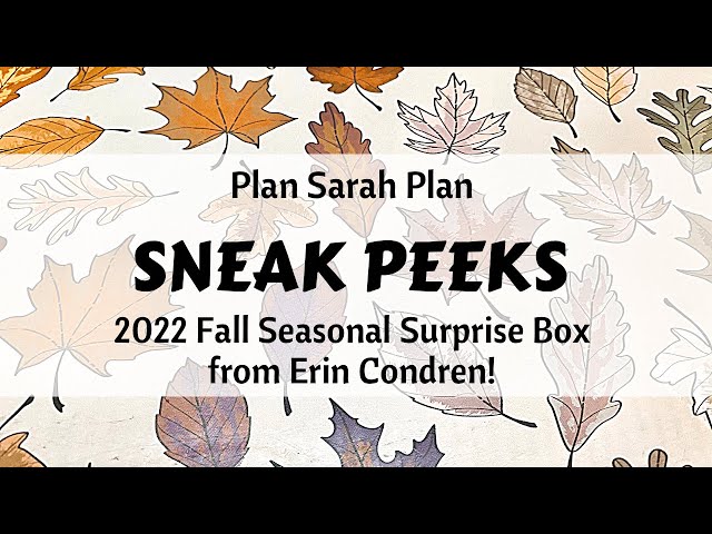 SNEAK PEEKS from the 2022 Fall Seasonal Surprise Box from Erin Condren!!!