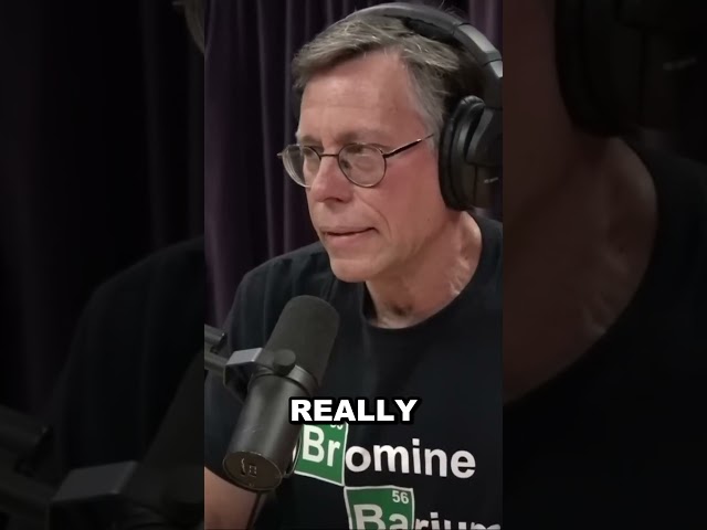 Bob Lazar: "I Saw All Nine UFOs Together"