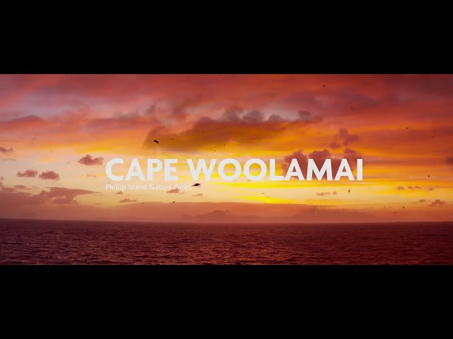 Cape Woolamai