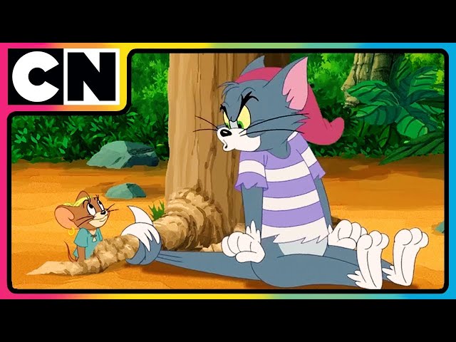 Tom & Jerry 😺🐭| Tom y Jerry🧀| Español| Capitulos completos | La pelicula de Tom y Jerry 😺🐭