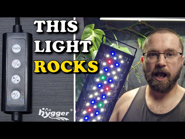 BEST Budget Aquarium LED In The WORLD? | Hygger Planted Aquarium LED Light Review (HG-978)