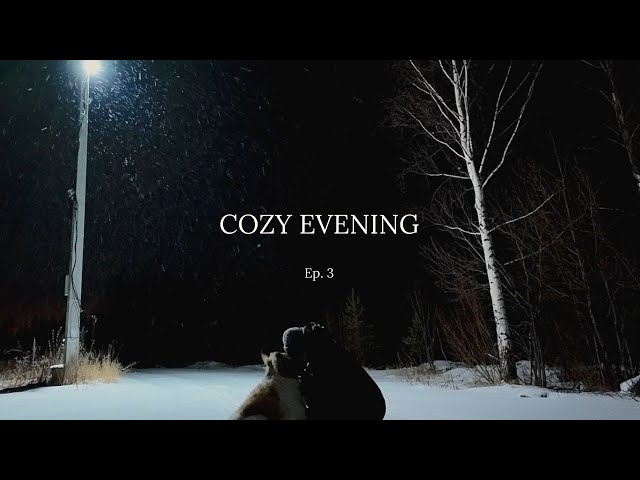 Cozy evening | I am sculpting dumplings | Evening walk