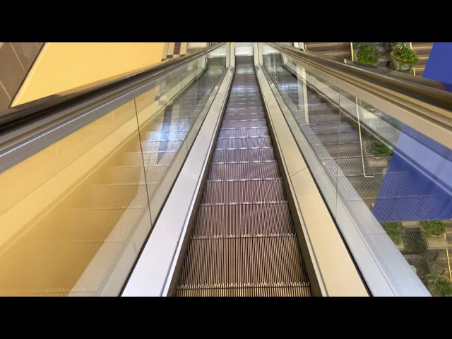 Otis Escalators