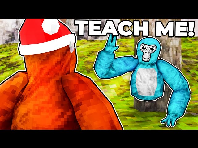 Gorilla Tag Pros Teach a Noob for $10,000