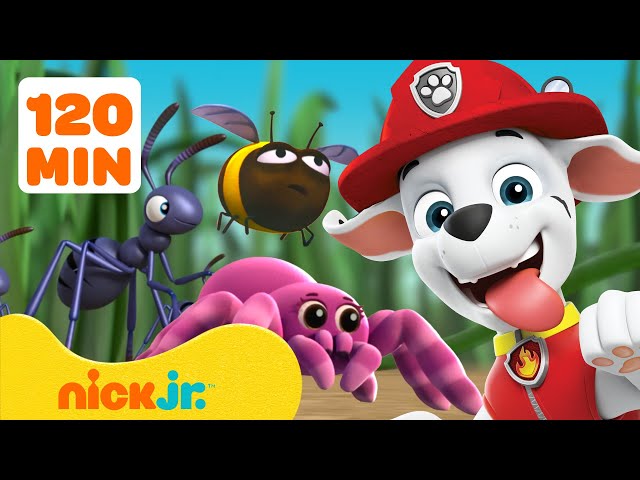 PAW Patrol Bug Rescues & Adventures! 🐝 2 Hours | Nick Jr.