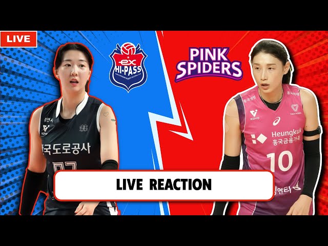 LIVE REACTION HI-PASS 한국도로공사 VS PINK SPIDERS 흥국생명