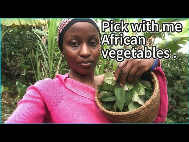 How We Pick African Vegetables in Our Village! stories from Uganda East Africa.