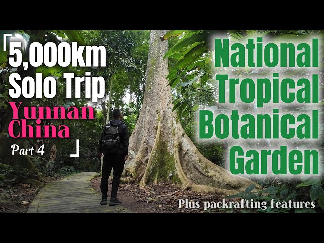 The only National Tropical Botanical Garden of China - 5,000km Solo Trip in Yunnan, China - Part IV