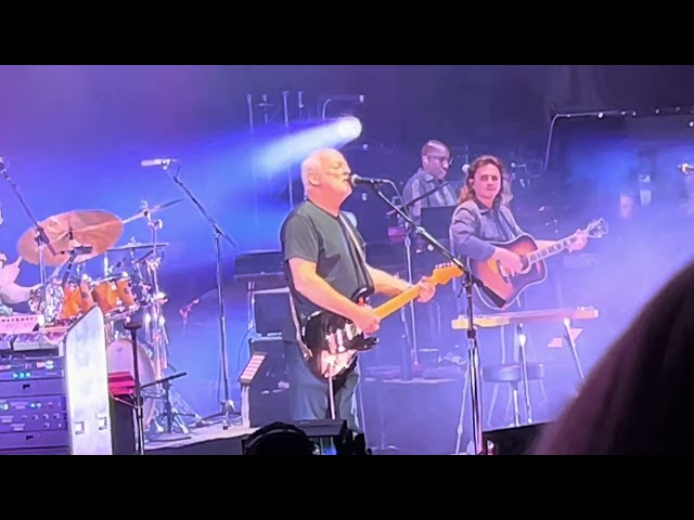 David Gilmour  Sings  Live Albert Hall October 14 2024