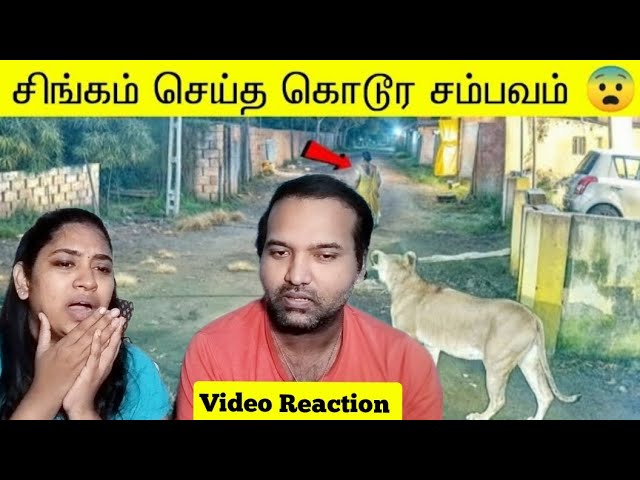 புலி சிங்கம் செய்த சம்பவங்கள் 😱😥😵🥶| Mysterious World Tamil Video Reaction | Tamil Couple Reaction