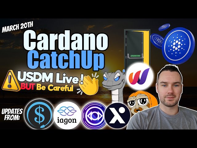 USDM Live On Cardano ⚠ World Mobile Plans + More Cardano News!