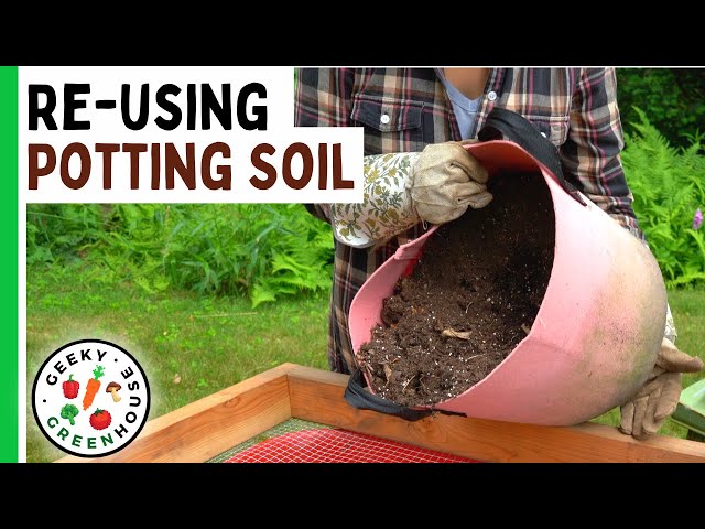 How To Reuse Old Potting Soil - Geeky Greenhouse