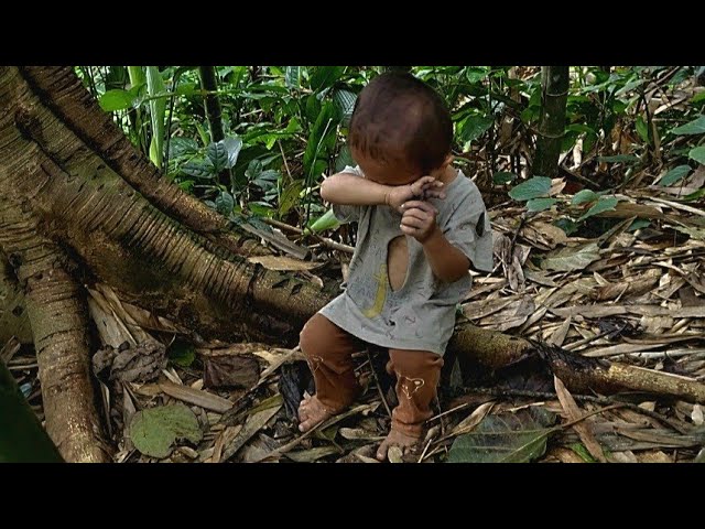 Single mother, 17 years old, tirelessly searching for her lost child in the forest, Ly Tieu Anh