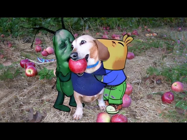 Ai Dog Apple Tiktok Meme Compilation Dog With Apple | Apple Dog Core