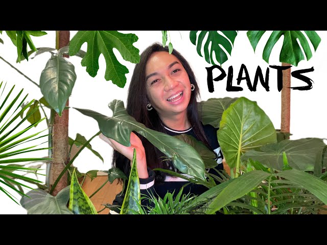 Ep 4: My Top 10 Indoor Plants | Kim Tries to Vlog