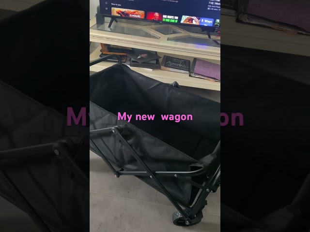 My new wagon I got from TEMU