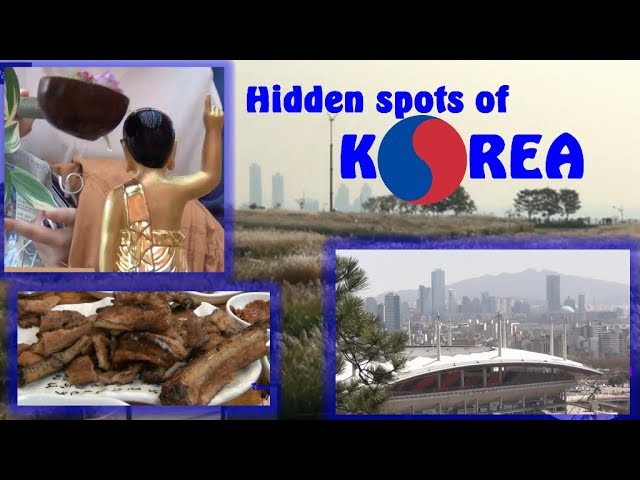 THE WONDERKIDS' Korea's hidden spots! Beautiful places in Korea!