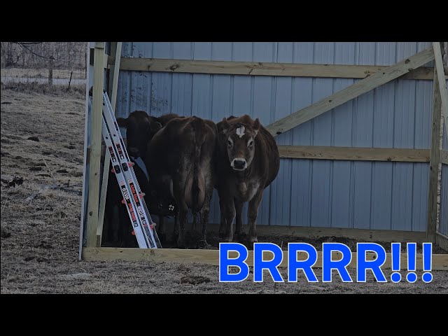 Day in the Life Vlog #17 - Working on the Pole Barn in Sub Zero Temps!!!