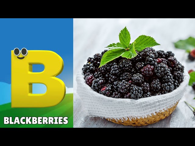 Fruit ABC Song | Fruit Alphabet Song | Alphabet Letters | Phonics for Kids