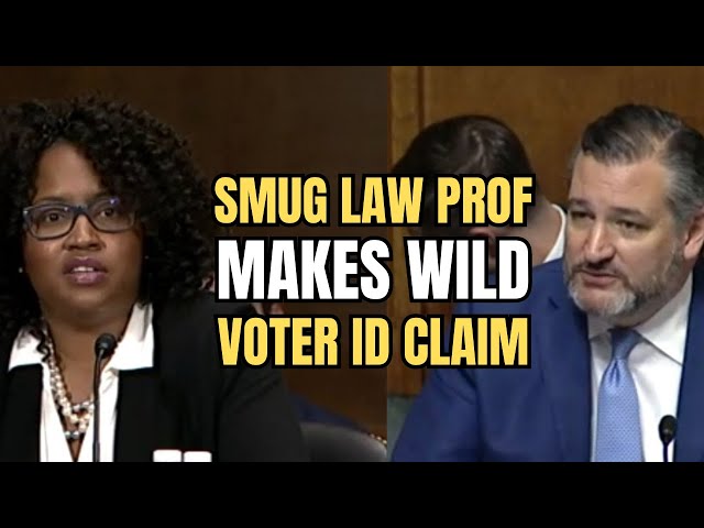 Ted Cruz FIRES BACK at Law Professor on Voter ID Laws