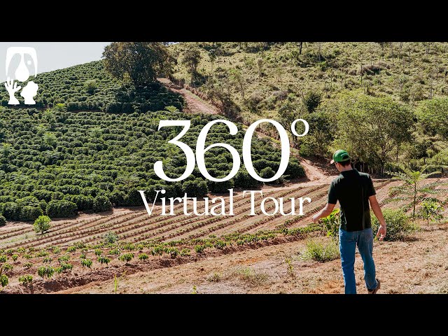 Fazenda Pedra Preta - TYPICA's 360° Virtual Tour