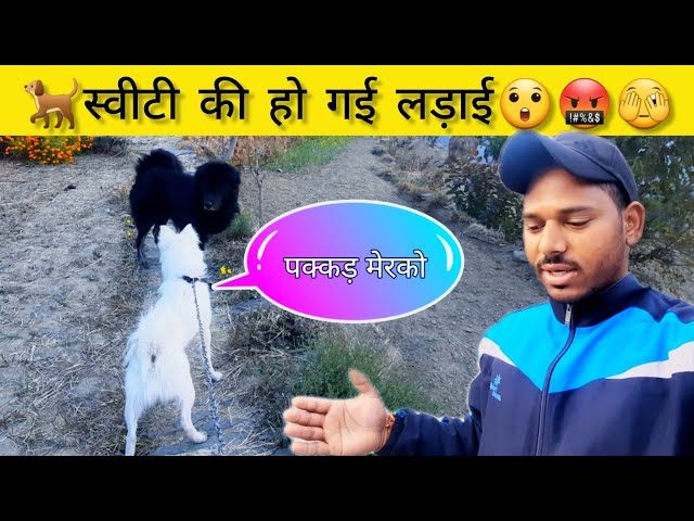 आज हुआ मौसम खराब 😲 पहले बारिश फिर धूप|| pahadi lifestyle vlogs  @saklani_vlogs.uk13