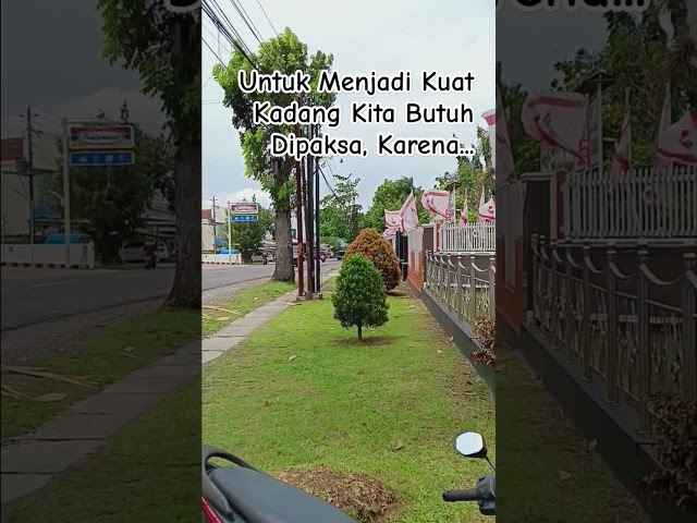 Untuk Menjadi Kuat Kadang Kita Butuh Dipaksa, Karena...